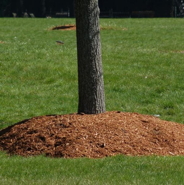 Limitless Tree Service