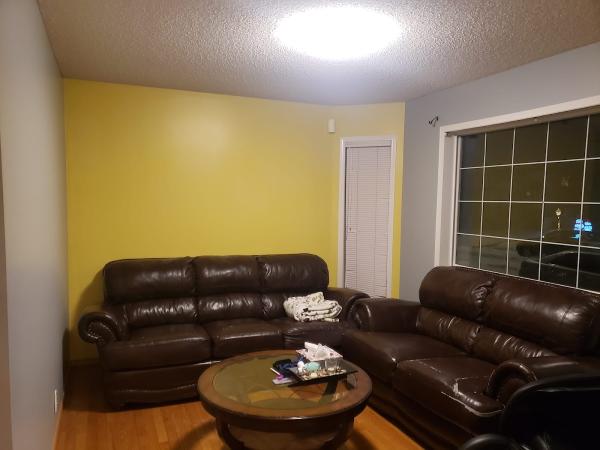 Blue Sky Painting & Reno Inc.