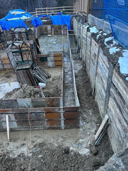 Proshoring