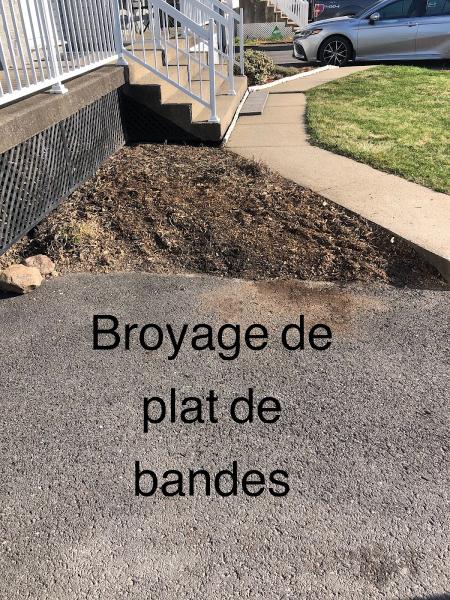 Essouchage Dulude / Dessouchage / Rognage Souches