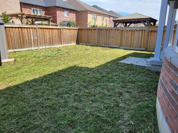 Green Machine Landscaping and Maintenance
