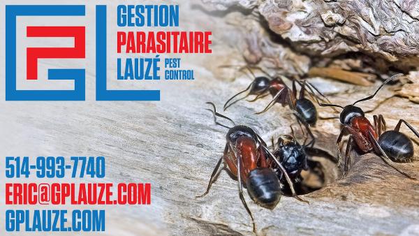 Gestion Parasitaire Lauzé