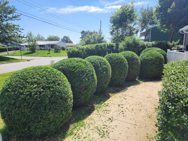Crews Control Property Maintenance