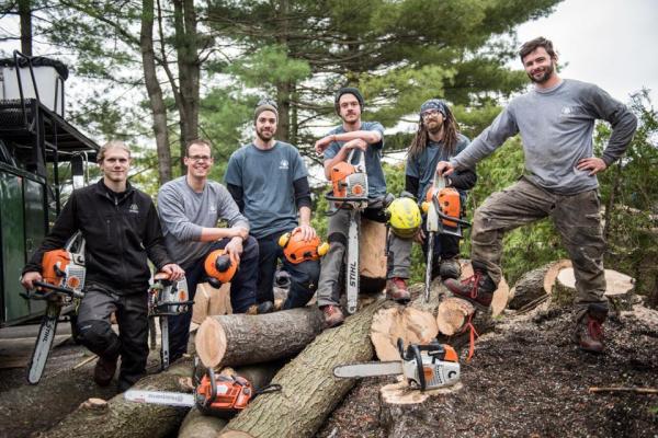 Service d'Arbres Benjamin