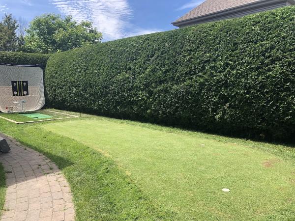 Jean Perrault Taille de Haies & Arbustes