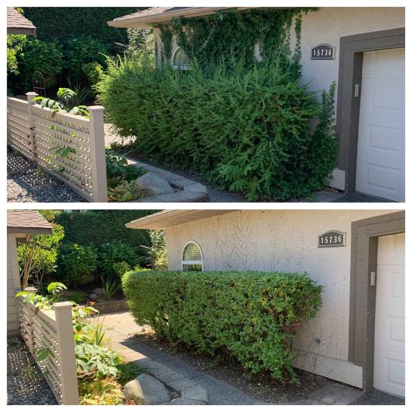 White Rock Lawn and Yard Care Ltd.