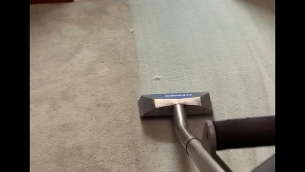 Interior Carpet Care