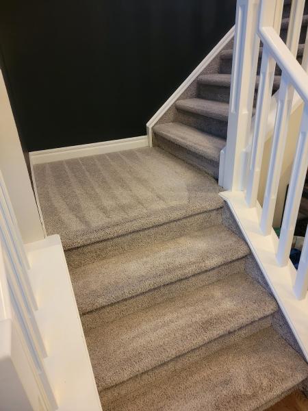 Interior Carpet Care