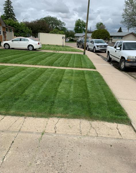 Premium Landscaping & Lawncare