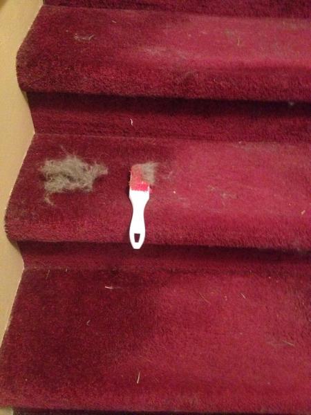 Clean Evolve Cleaning Services