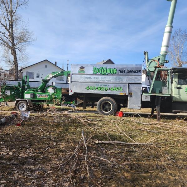 Outlawns Tree Service