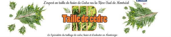 Taille de Cèdre MB