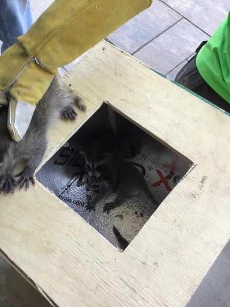 Greenshield Pest Control Inc.