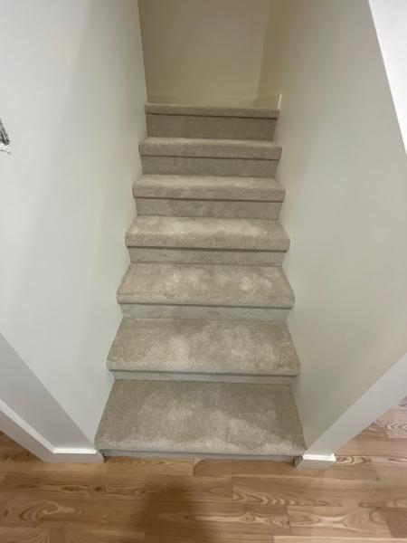 Wall 2 Wall Carpet & Flooring