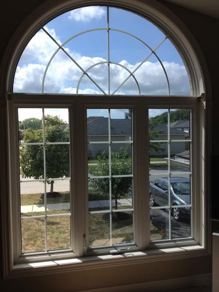 Evolution Window Films
