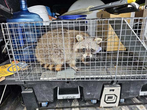 Drake Pest Management