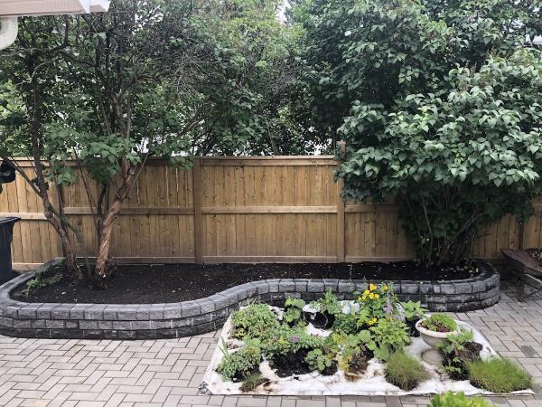 Vasile Landscaping