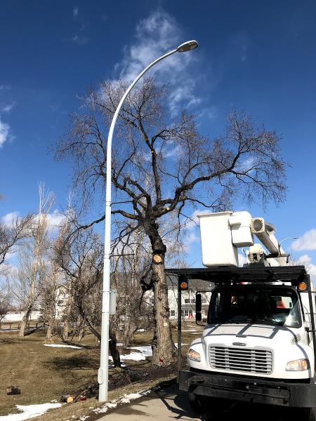 Precise Pruning Ltd
