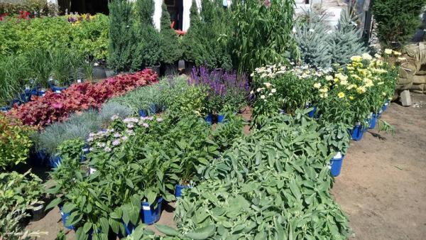 Doiron's Landscaping & Gardening Centre
