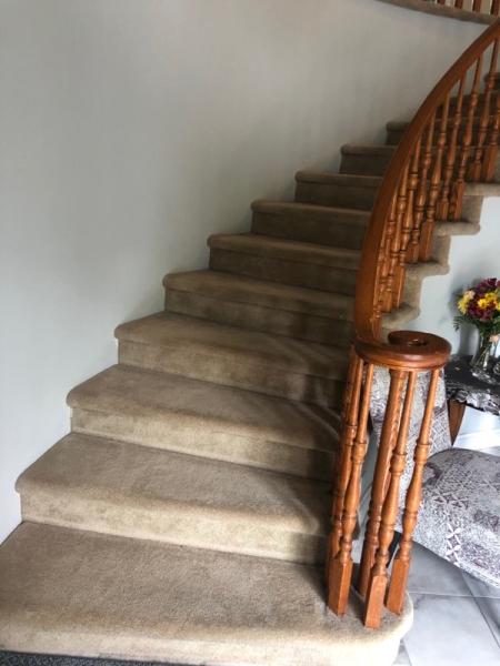 Carpet Cat Company. Carpet