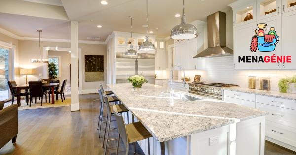 Menagenie Entretien Ménager Commercial et Résidentiel