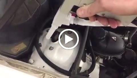 Polyshine Innovation