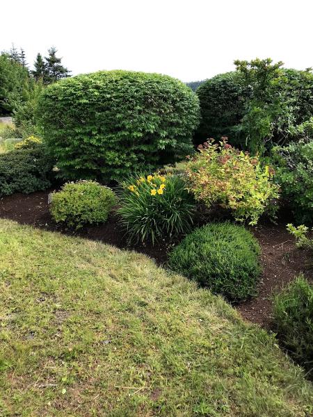 Caledonian Landscape Gardening & Consultancy