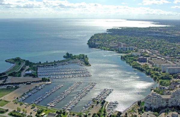 Etobicoke Real Estate Agent