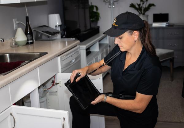 Wise on Home Inspections