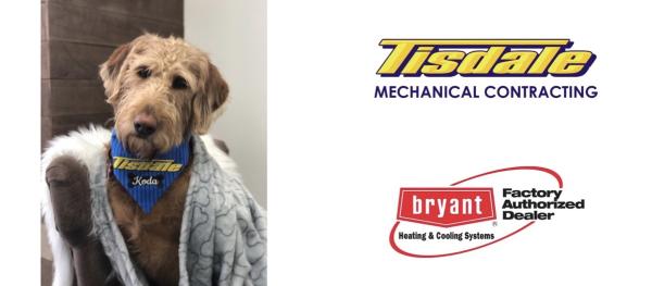 Tisdale Mechanical Contracting Ltd.