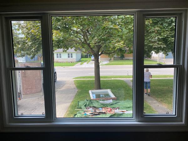 Select Windows and Doors
