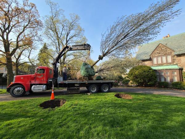 Green Bird Horticultural