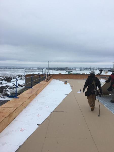 Couverture de La Rive-Nord