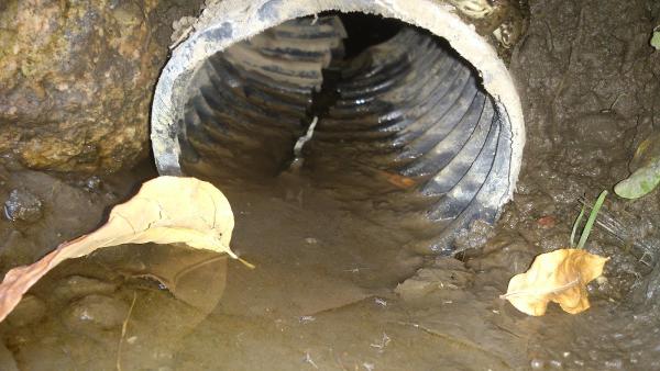 Natural Elements Landscape Design/Build