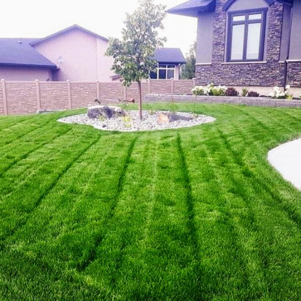 Avara Landscaping & Property Care