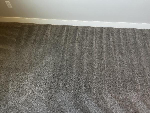 Raman Carpet Cleaning