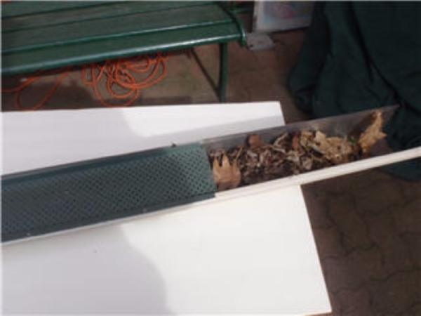 The Troughologist