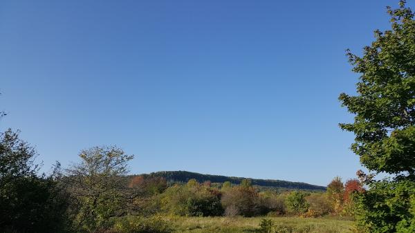 Primary Electrical Supply