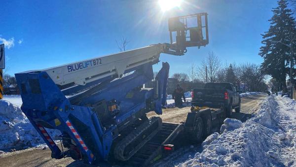 Westwood Tree Services