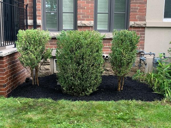 Toronto Property Solutions Ltd