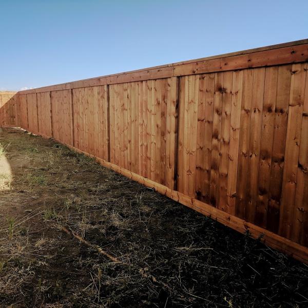 Singlestick Fencing