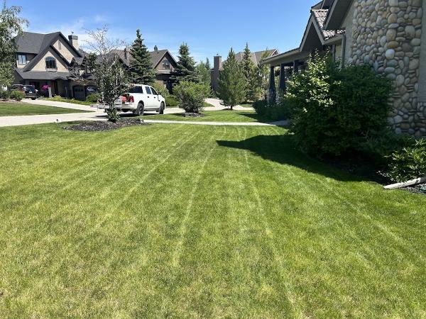 Year-Long Property Maintenance