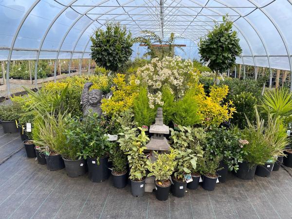 Paradise Plants Garden Centre