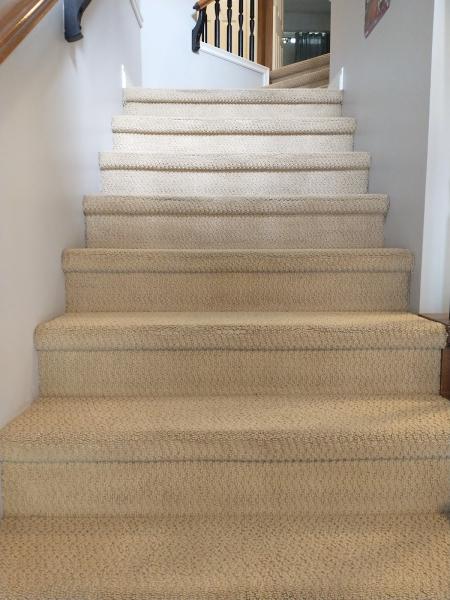 New Look Home Services