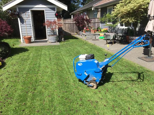 Budget Cuts Lawn Care