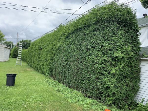 Haiexpert Trois-Rivières