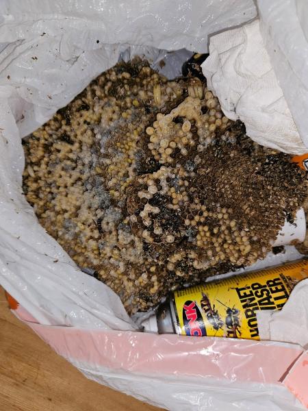 Sphère Extermination