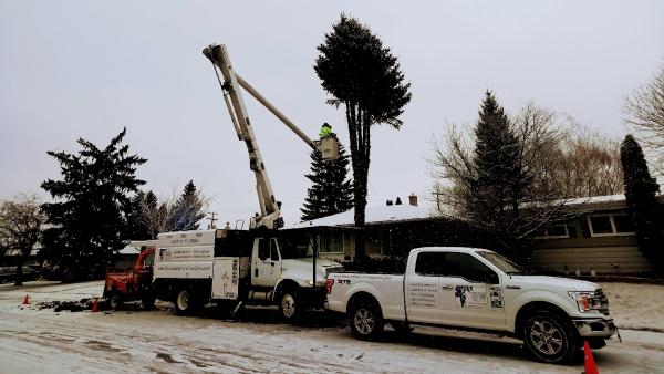 Second Nature Tree Care