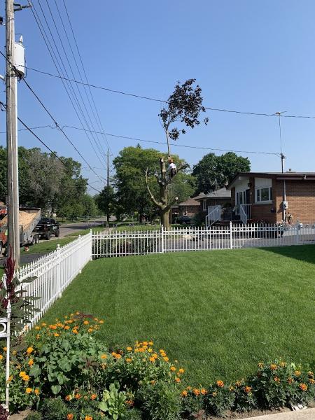 Newcastle Tree Experts Inc