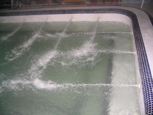 Queen Pools and Spas Inc.